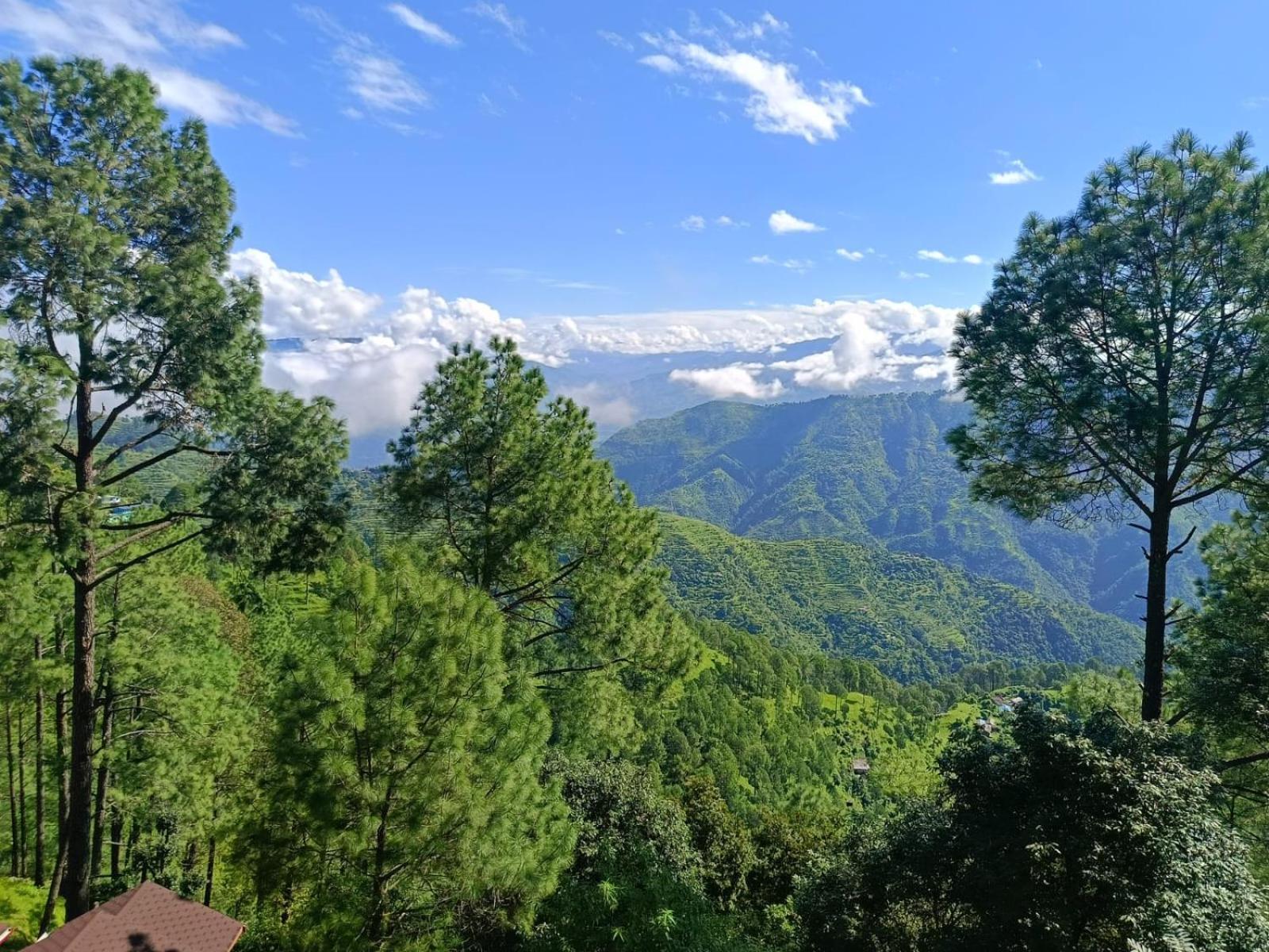 Joshi Holiday Home Stay Lansdowne Kültér fotó